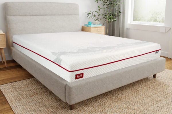 Best Bed Frames for Heavy People (Weight-Tested Guide)